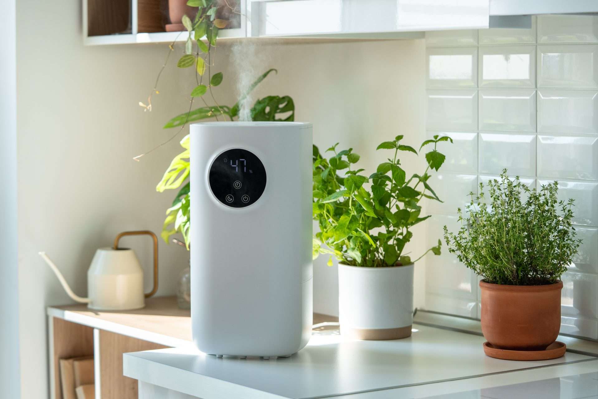 HVAC Purifier